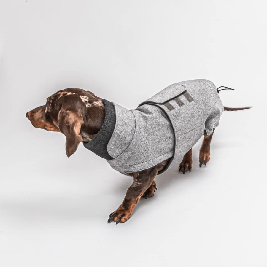 varm jacka för din hund