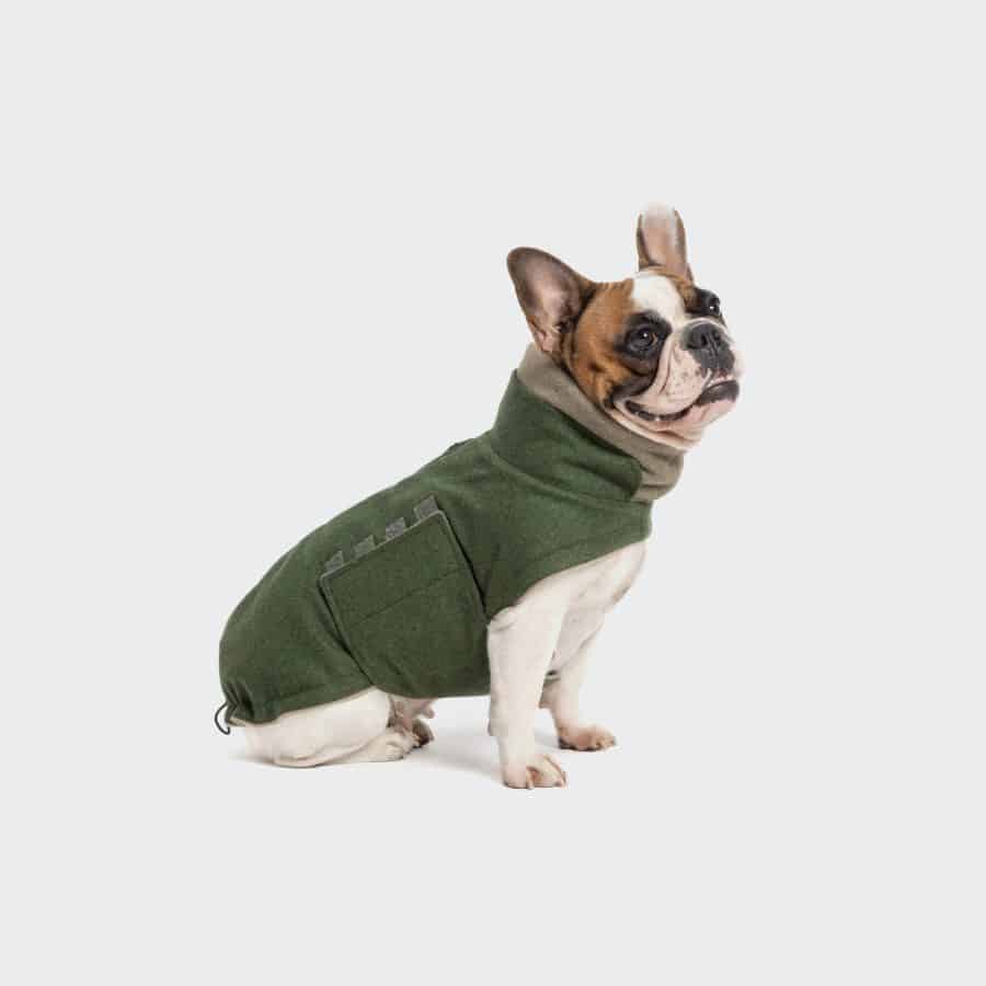 Cloud7 Dog Coat Brooklyn Flannel Fern Green Fransk Bulldogmodell - Bild 2