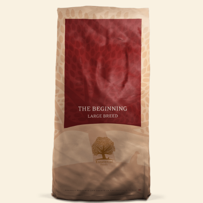 Essential The Beginning Large Breed  10kg