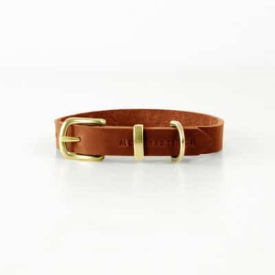 Molly and Stitch Butter Collar Sahara Cognac