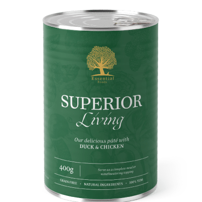 Essential Paté Superior Living