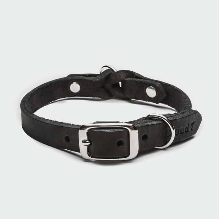 Cloud7 Riverside Park Halsband Svart