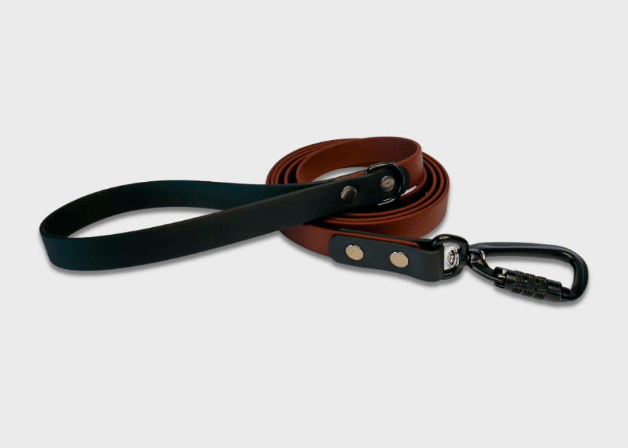The Everydog Co Citykoppel Hickory & Svart - Bild 2