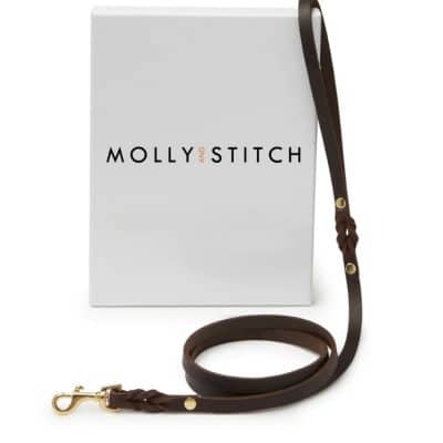 Molly and Stitch Butter City Leash Classic Brown