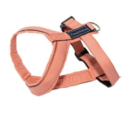 Gustaf & Evita PRO Sele Peach