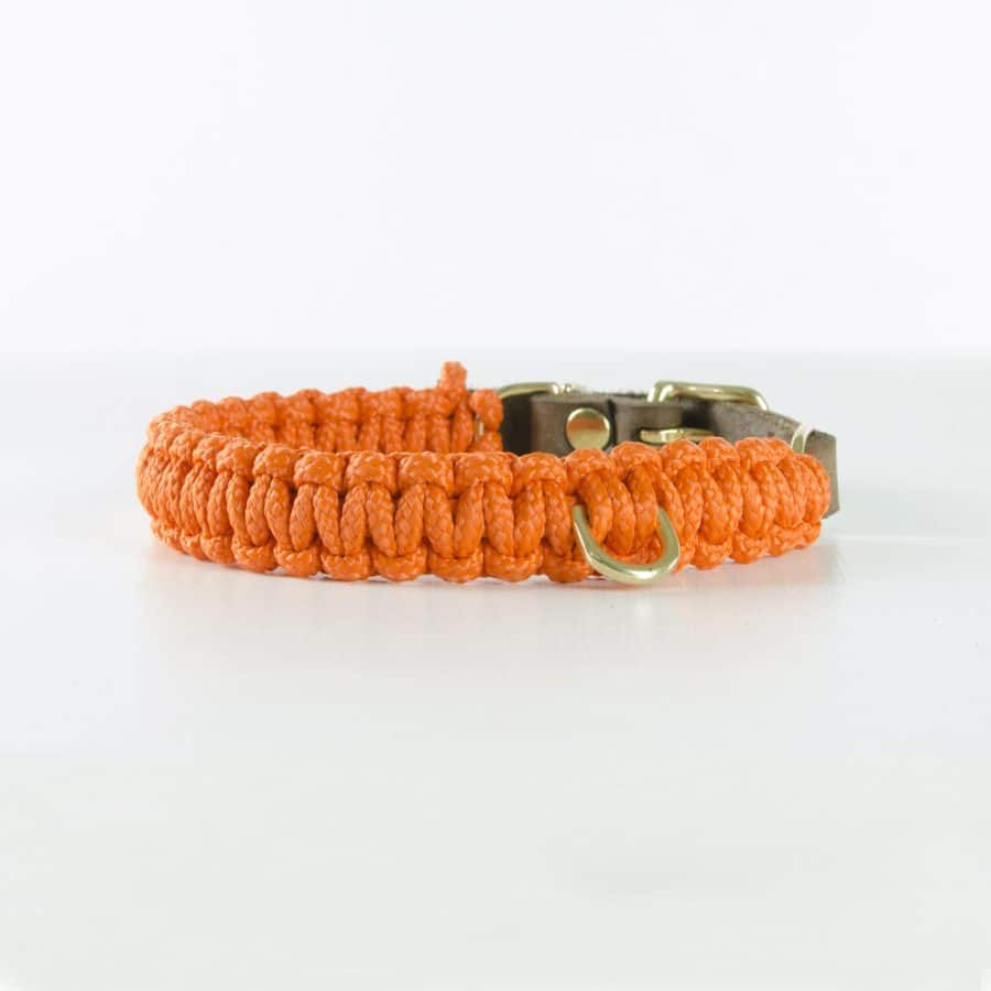 Molly and Stitch Touch of Leather Collar Pumpkin Orange