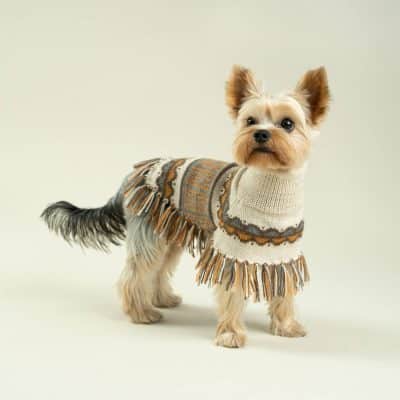 Alqo Wasi Pisac Alpacka Poncho