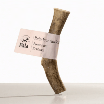 Pala Reindeer Antler