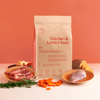 Buddy Chicken & Lamb Feast Adult
