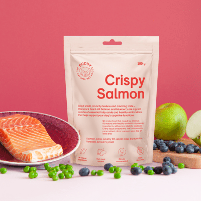 Buddy Crunchy Snack Crispy Salmon
