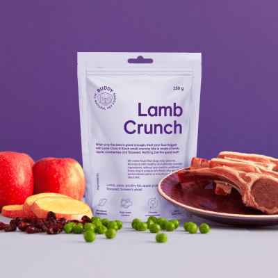 Buddy Crunchy Snack Lamb Crunch