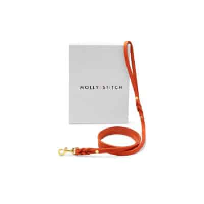 Molly and Stitch Butter City Leash Mango