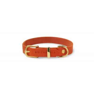 Molly and Stitch Butter Collar Mango