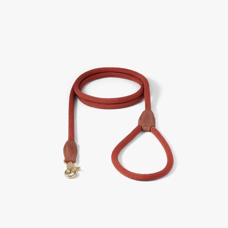 Denjo Dogs Citykoppel Torekov Rusty Bronze