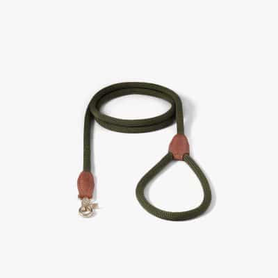 Denjo Dogs Citykoppel Torekov Shimmer Green