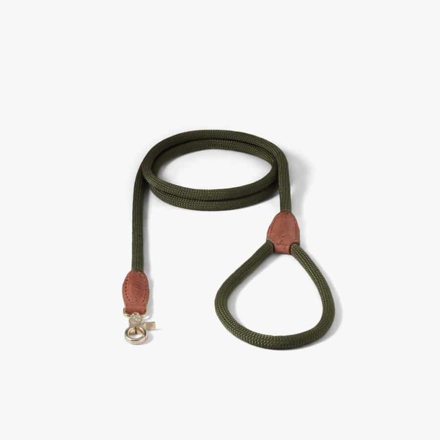 Denjo Dogs Citykoppel Torekov Shimmer Green