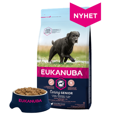 Eukanuba Senior Large Breed 15kg
