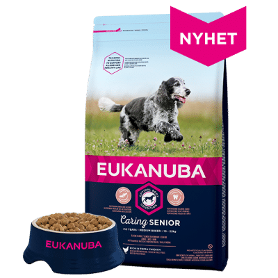 Eukanuba Senior Medium Breed