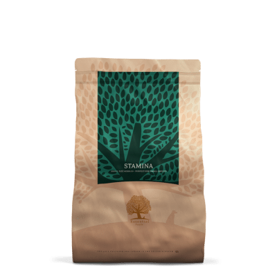 Essential Stamina Small Size 2,5kg