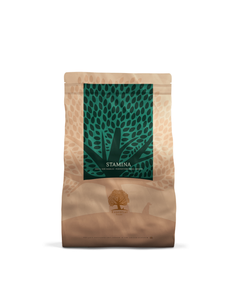 Essential Stamina Small Size 2,5kg