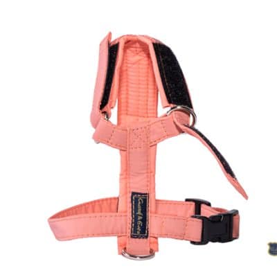 Gustaf & Evita Kattsele Strap Ställbar Peach