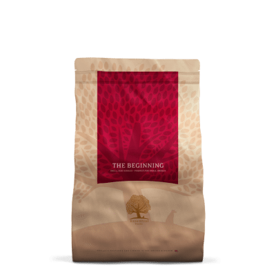 Essential The Beginning Small Size  2,5kg