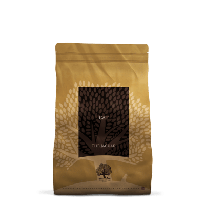 Essential The Jaguar