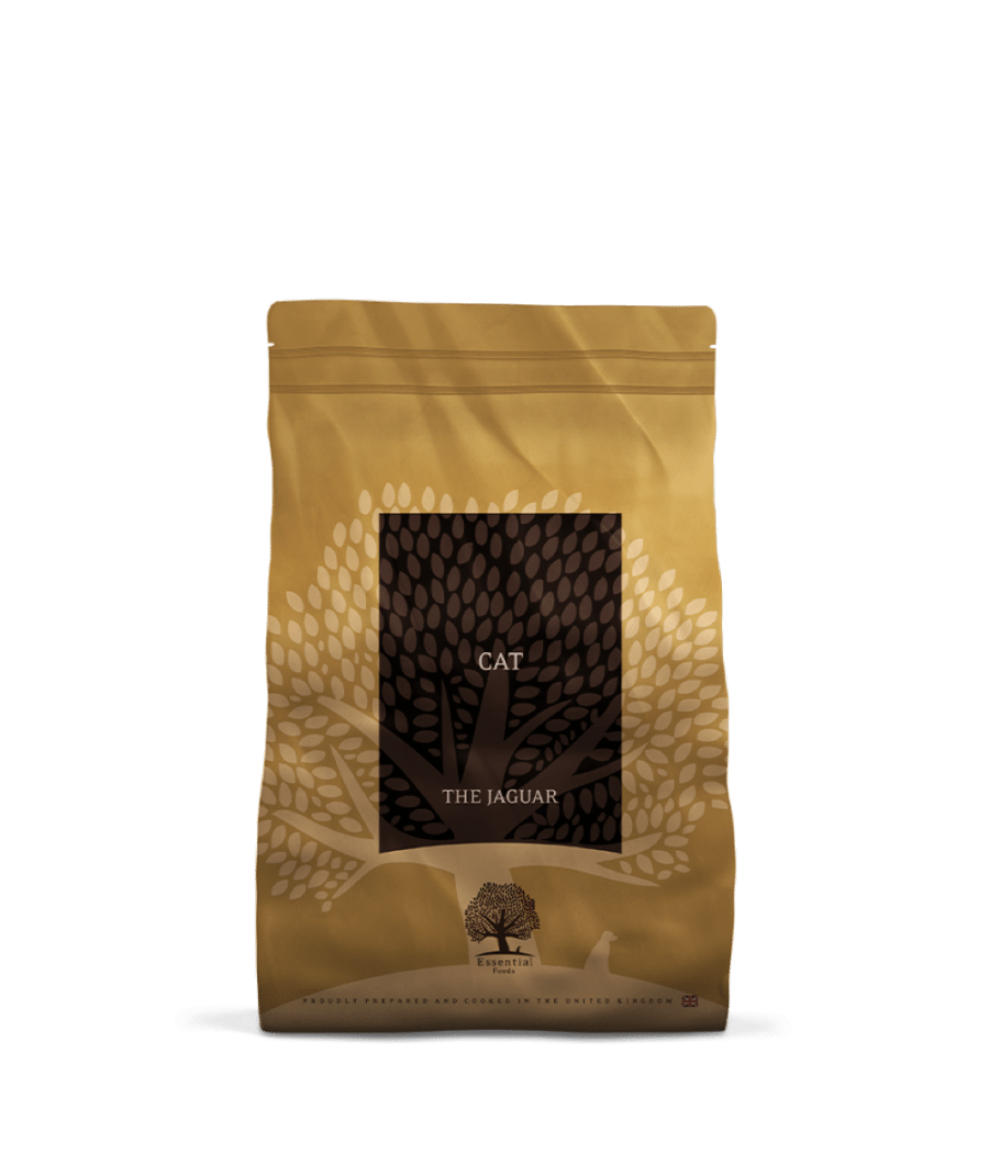 Essential The Jaguar