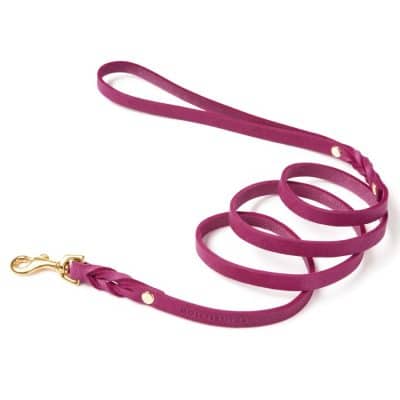 Molly and Stitch Butter City Leash Flamingo