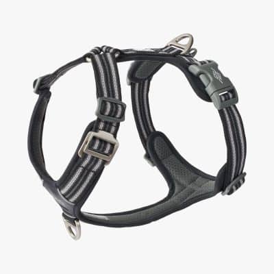 Dog Copenhagen Comfort Walk Air™ Harness Black