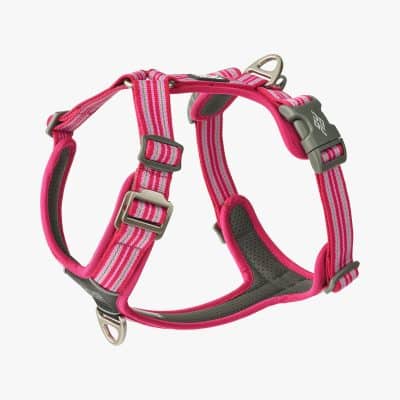Dog Copenhagen Comfort Walk Air™ Harness Wild Rose