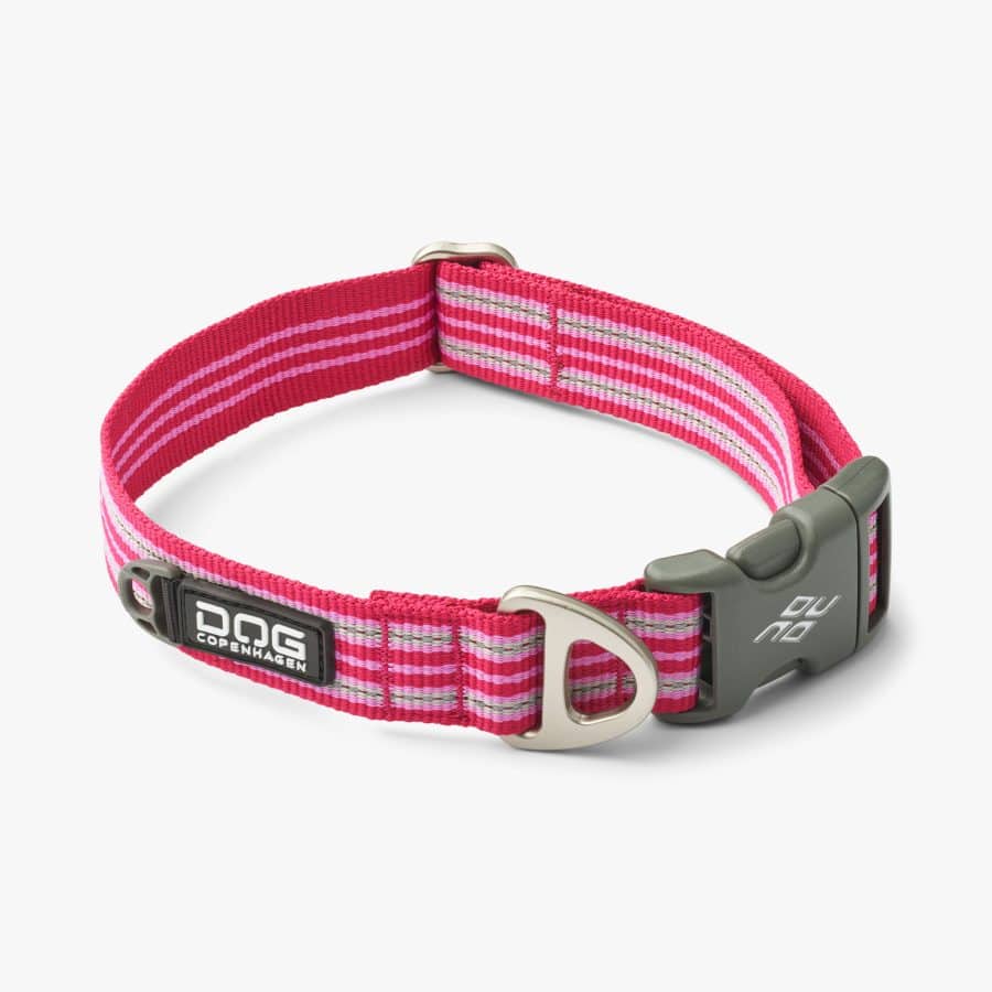 Dog Copenhagen Urban Style™ Collar Wild Rose