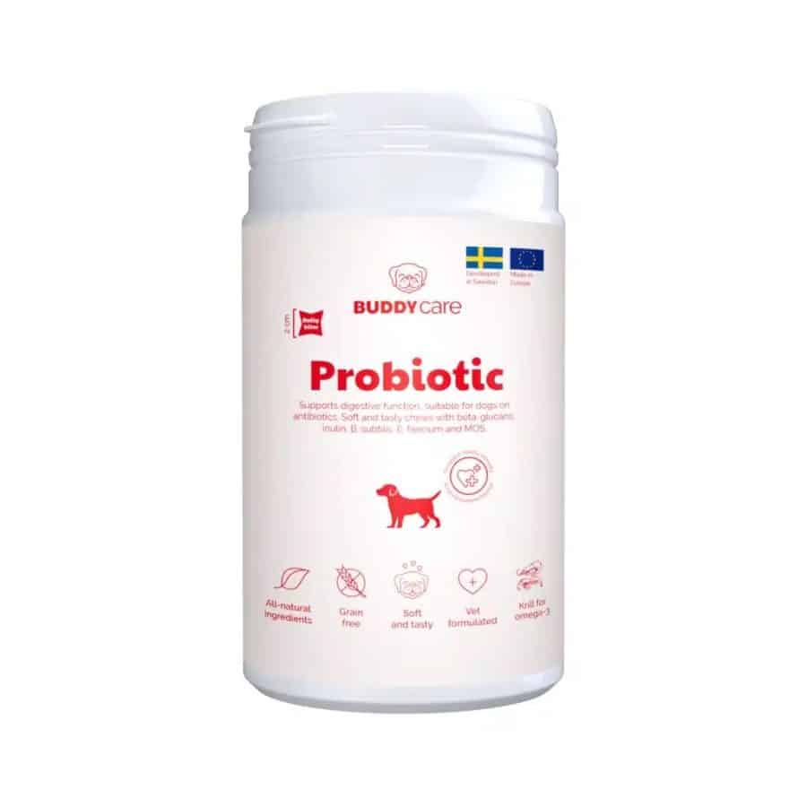 Buddy Probiotic Chews