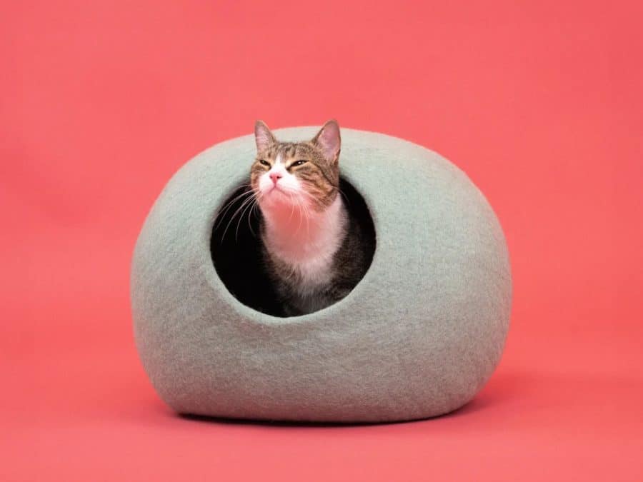 My Felt Cave Fine