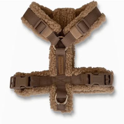 Puppy Bohème Teddy Sele