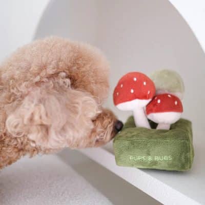 Pups & Bubs Forest Mushroom Berikningsleksak
