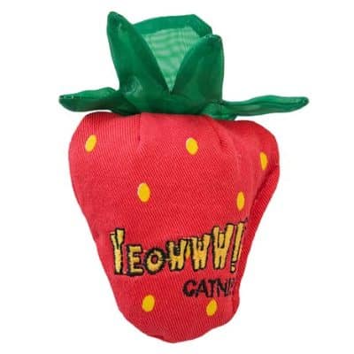 Yeowww! Strawberry