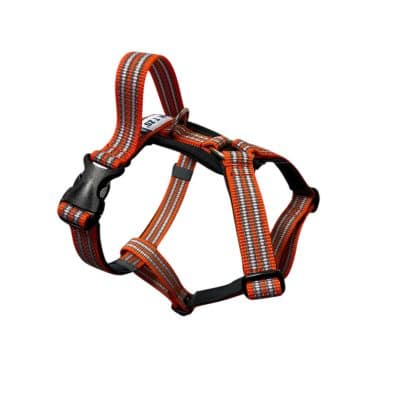 Metizo Cozitem Sele Orange