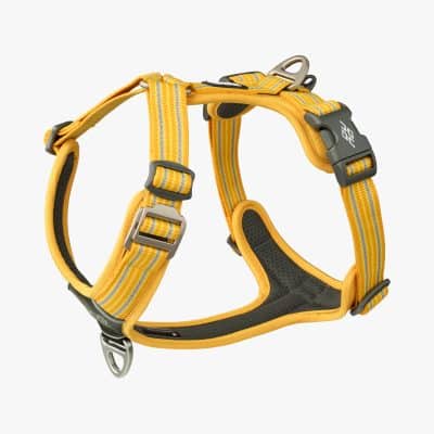 Dog Copenhagen Comfort Walk Air™ Harness Lemon