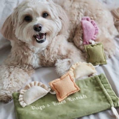 Pups & Bubs Ravioli Berikningsleksak
