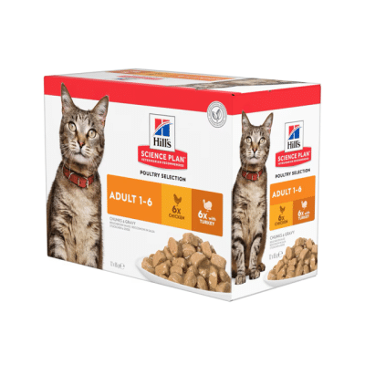Hills SP Feline Adult Chicken & Turkey 12x85g portionspåsar