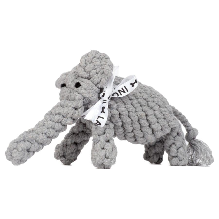 Laboni Elton Jr Elefant