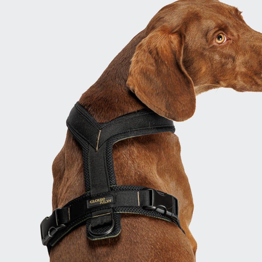 Cloud7 Y-1 Harness AKTIV Air-Mesh Black - Bild 3