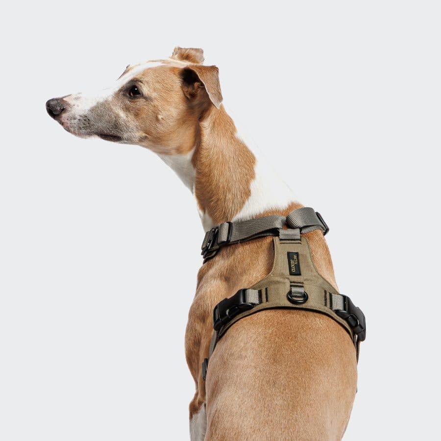 Cloud7 Y-2 Harness AKTIV Cordura Khaki - Bild 3