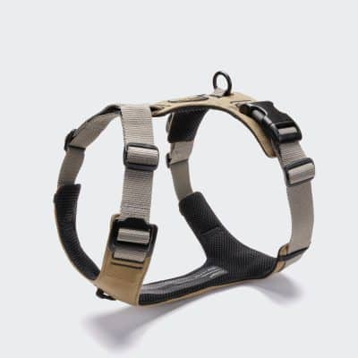 Cloud7 Y-2 Harness AKTIV Cordura Khaki