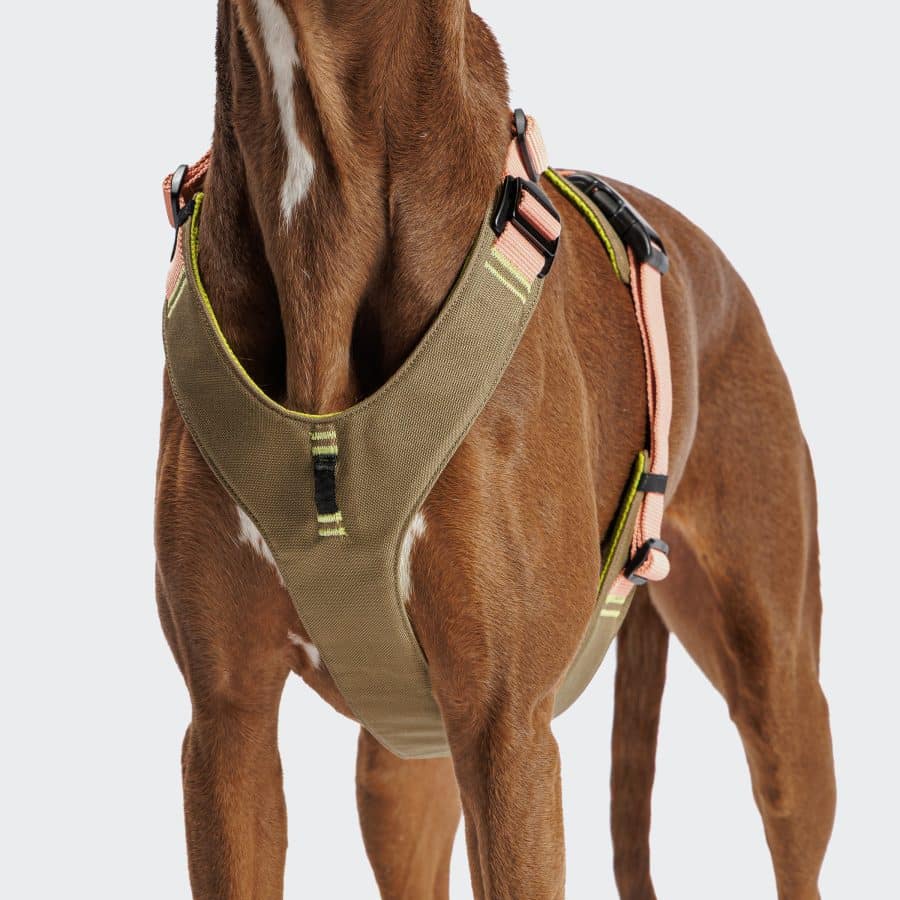 Cloud7 Y-2 Harness AKTIV Cordura Peach - Bild 2