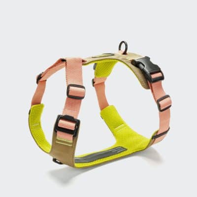 Cloud7 Y-2 Harness AKTIV Cordura Peach