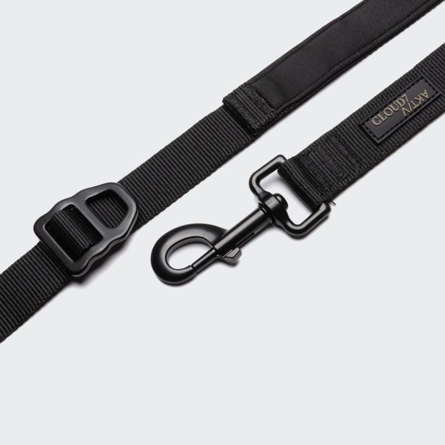 Cloud7 L-2 Jogging-Leash AKTIV Black - Bild 6