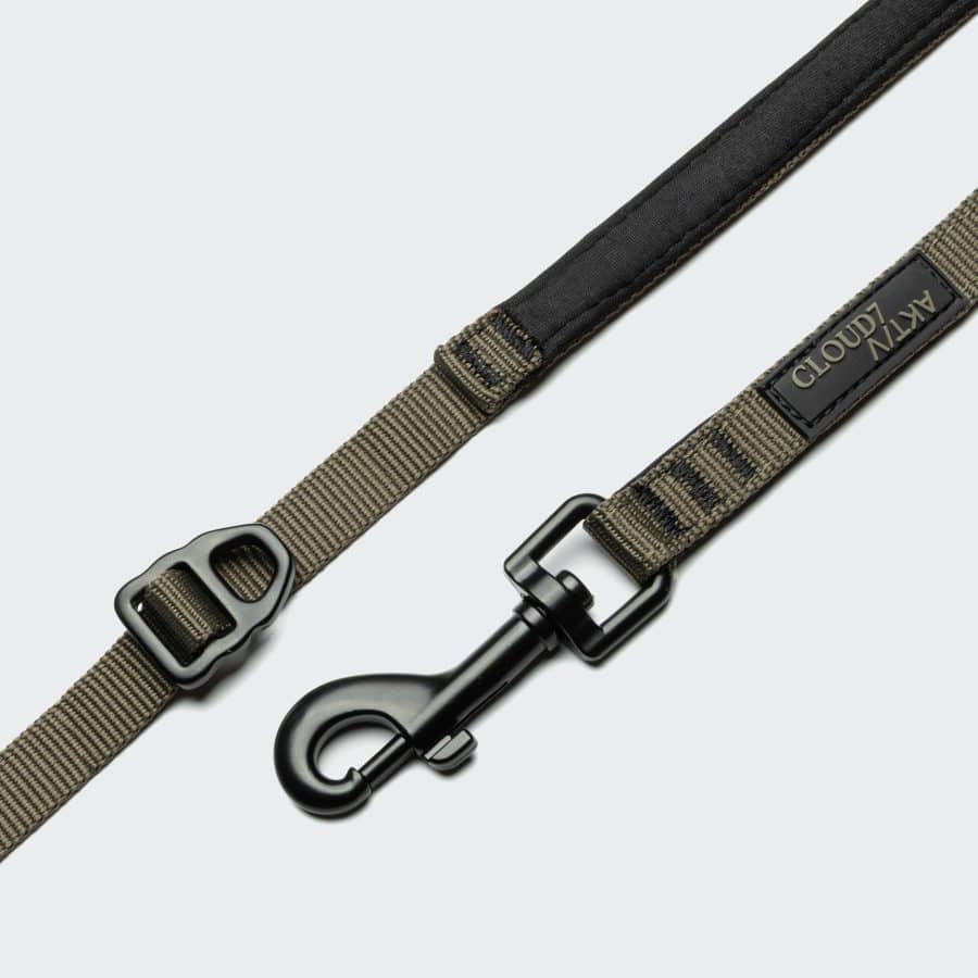 Cloud7 L-2 Jogging-Leash AKTIV Olive - Bild 2