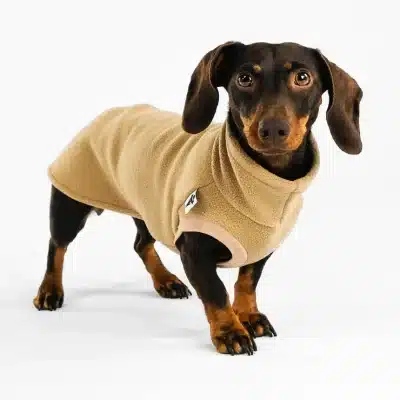 Karma Long Shirt Taxmodell Camel